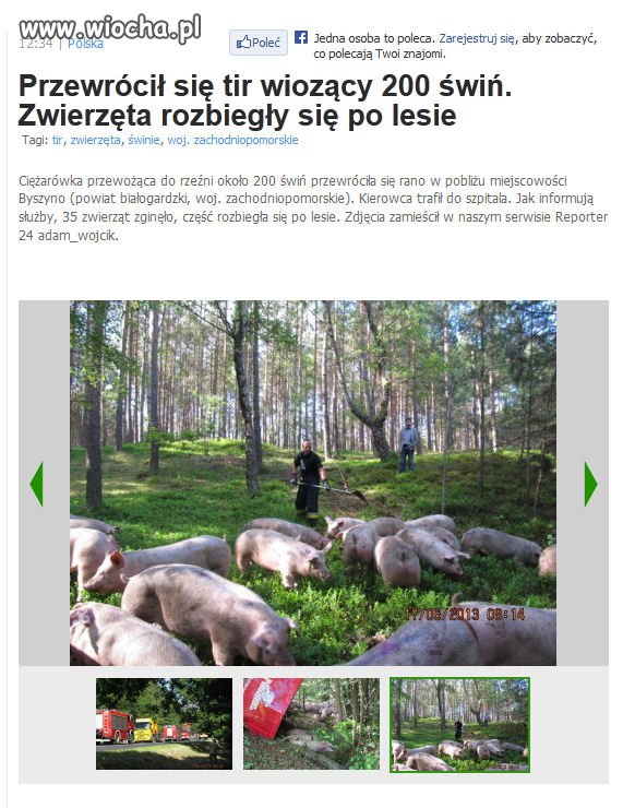 Przewrócił się...