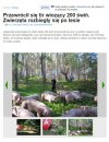 Przewrócił się...