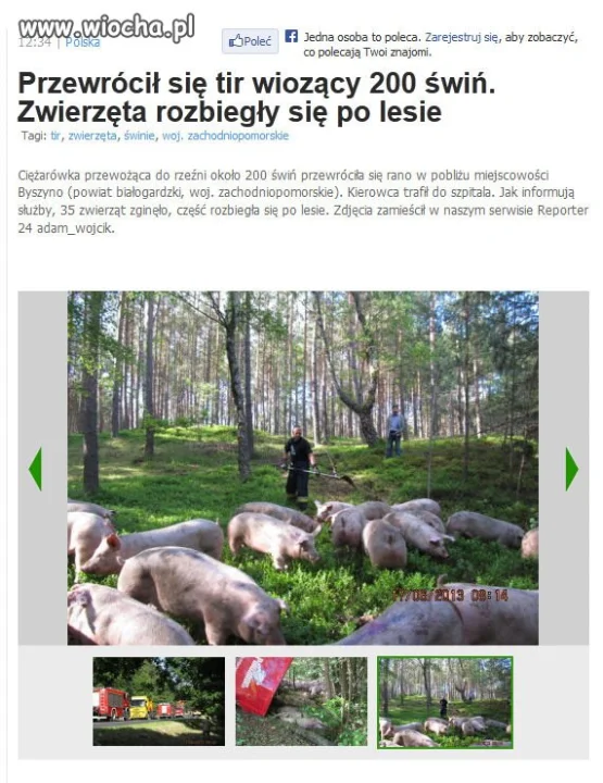 Przewrócił się...