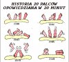 Historia 20 palców