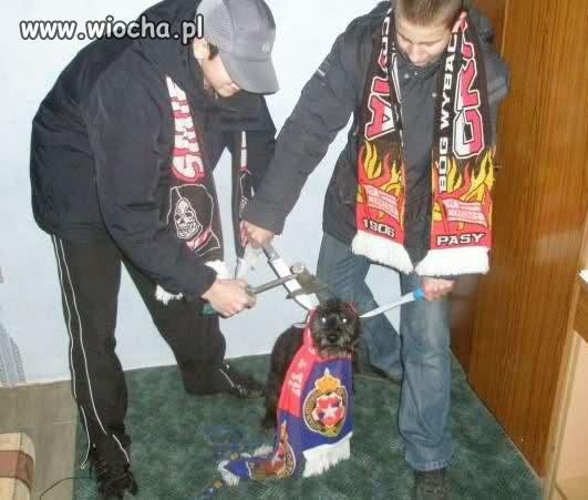 Wstyd Dla Cracovi przez takich kiboli !
