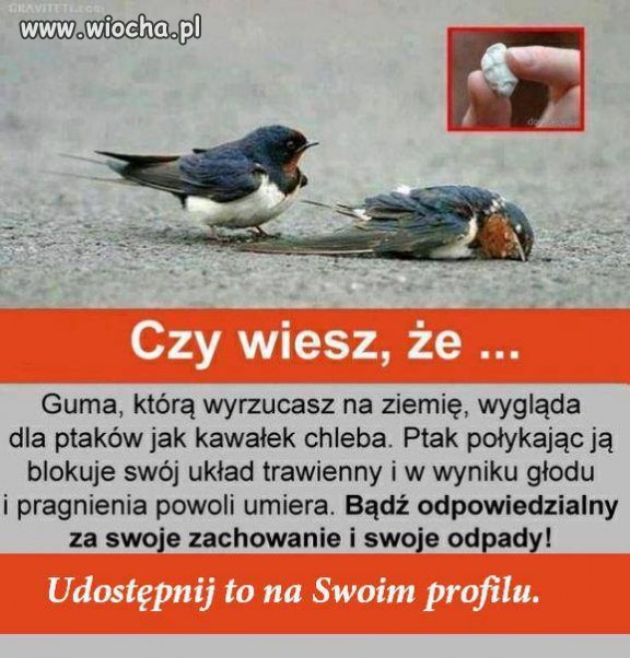 Czy wiesz, że...
