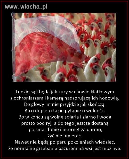 Prawdziwe aż do bólu