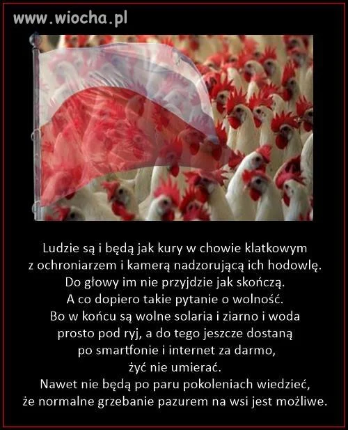 Prawdziwe aż do bólu