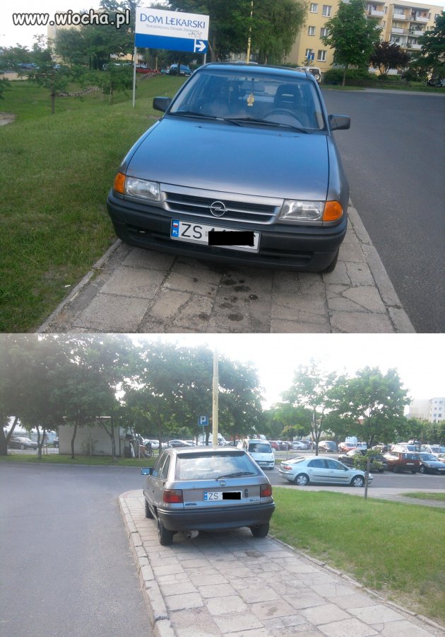 Mistrz parkowania