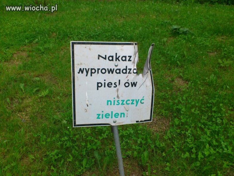 Kretyni w Krakowie niszczą tabliczki