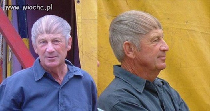 I Hipisi będą łysi 