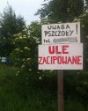 Pszczoły-pszczołami, ale jak się ule cipuje?