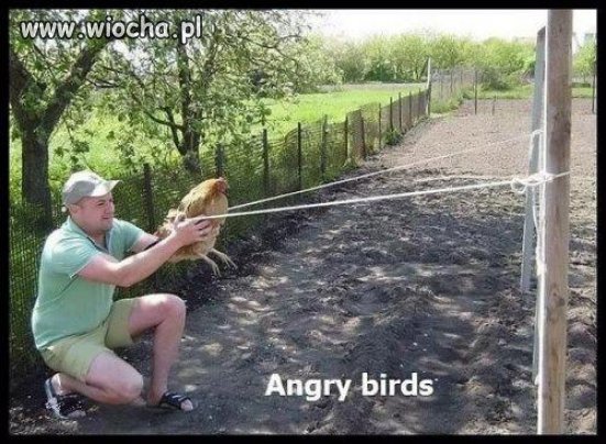 Angry Birds