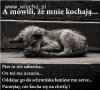Pies to nie zabawka...