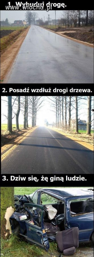 Polski tok myślenia