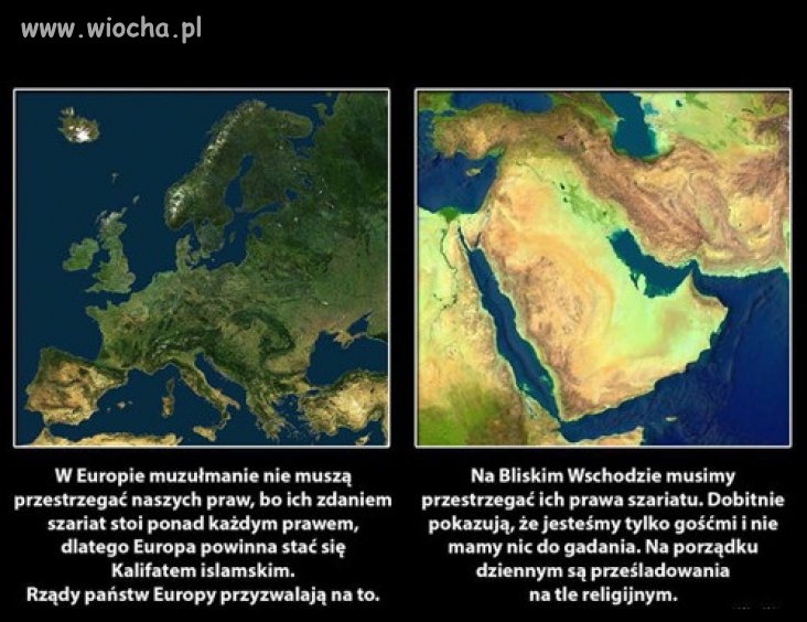 Tolerancja według muzułmanów