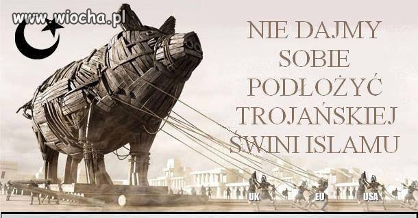 Nie popełnijmy błędu Starożytnej Troi