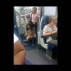 Kobieta z psem w wózku