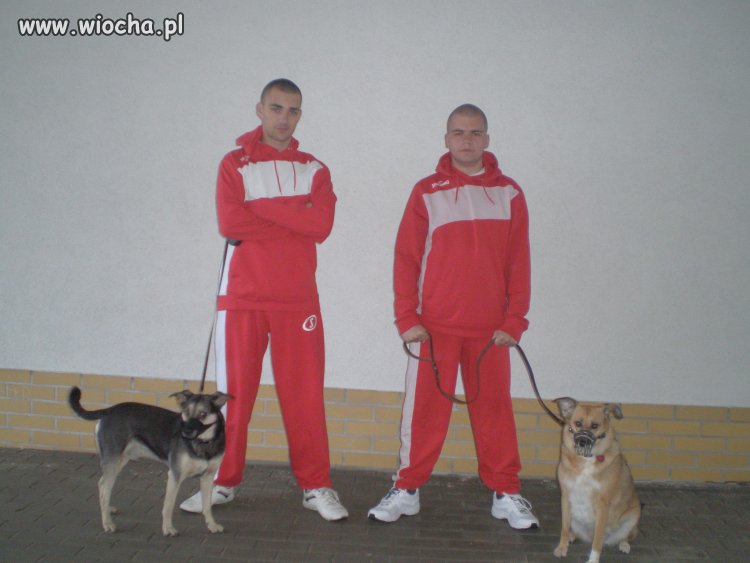 Strach się bać...
