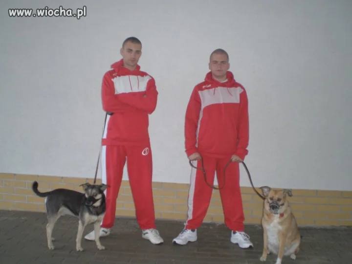 Strach się bać...