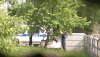 Policja na służbie, kradnie czereśnie...