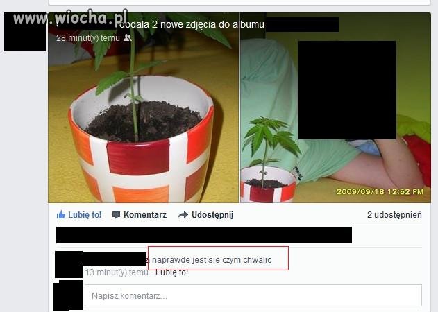 Ja na prawdę rozumiem, że można palić zioło i 