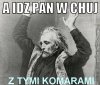 Komary!!!