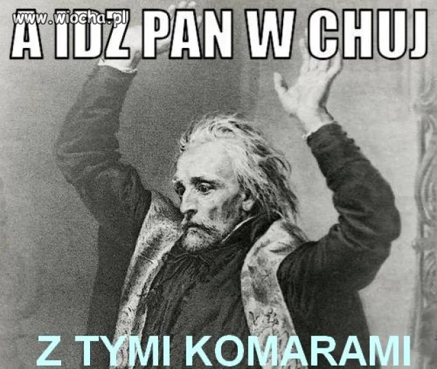 Komary!!!
