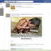 Przesyłanie bzdur na FB