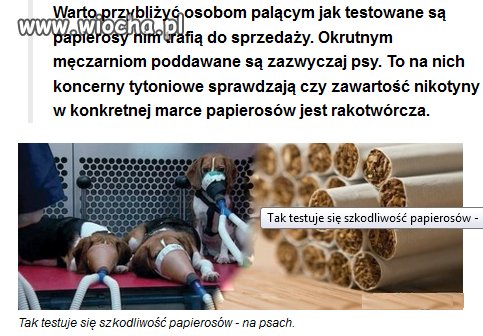 Tak koncerny tytoniowe testują zawartość 