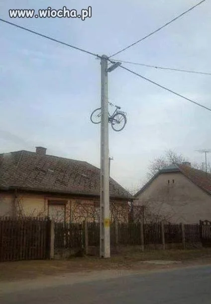 Polak potrafi