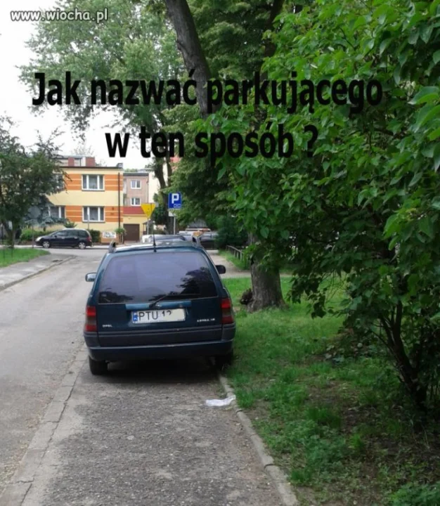 Król parkowania