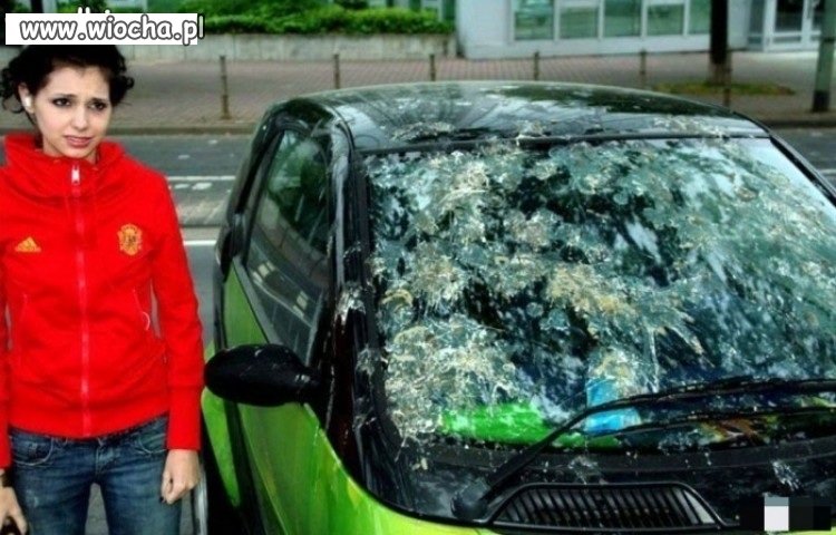 I weź tu umyj auto