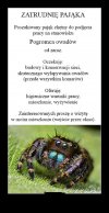Dzień dobry