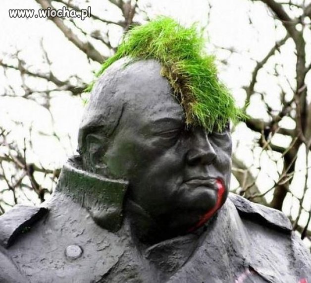 Churchill punk
