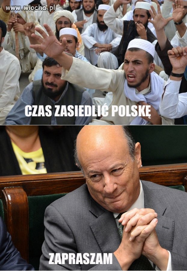 Ananasy w puszce dziś kupiłem suczce ...