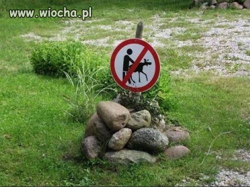 Nie wiem co co chodzi