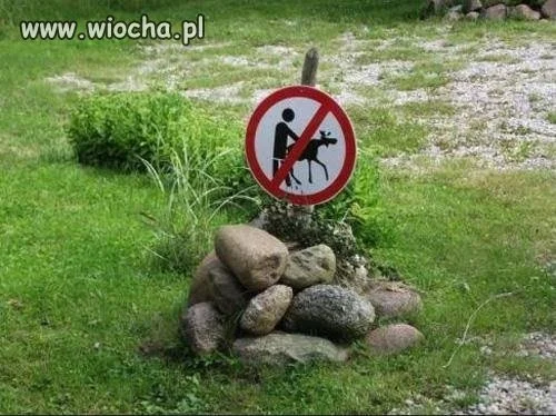 Nie wiem co co chodzi