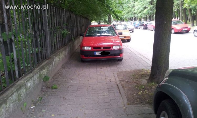 Polak potrafi