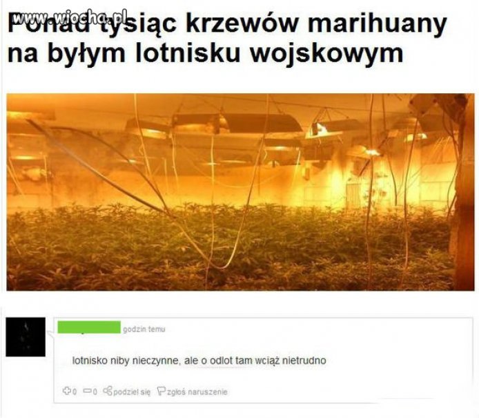 W Polsce nic