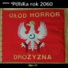 Wiocha dla Rządów od '89 