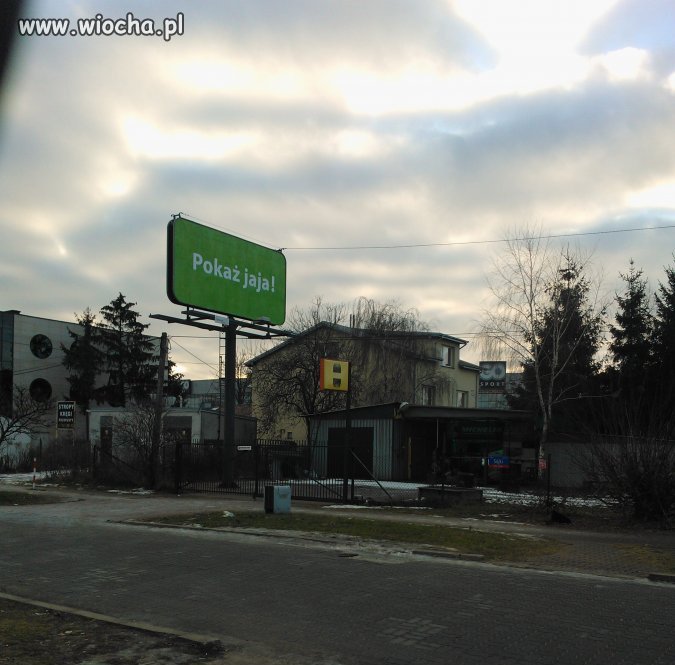 Warszawskie jaja