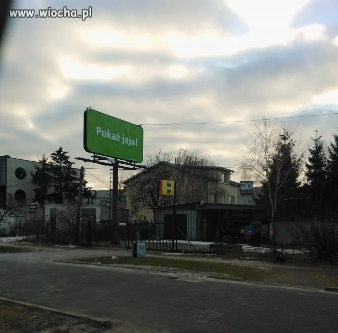 Warszawskie jaja