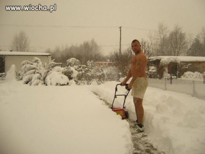 KOKS OSIOŁ