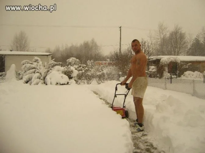 KOKS OSIOŁ