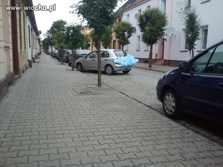 Mistrz 