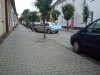 Mistrz 