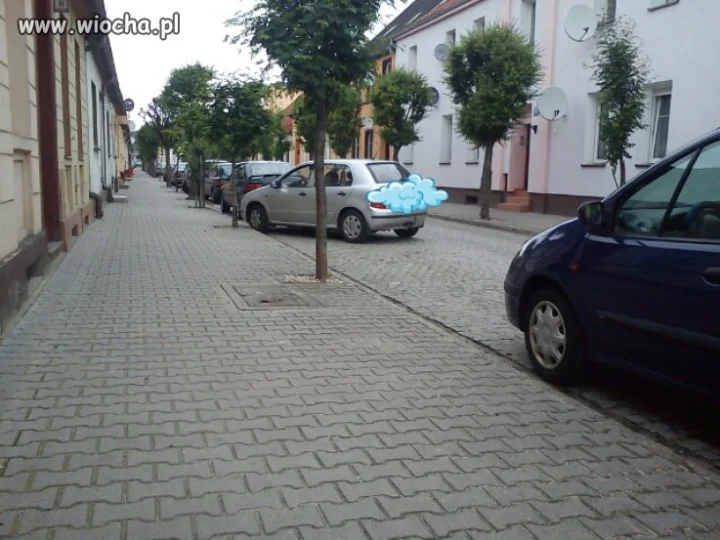 Mistrz 
