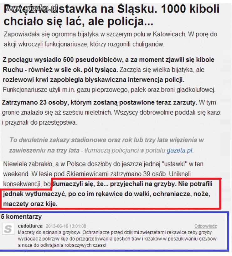 Ustawka na Śląsku...