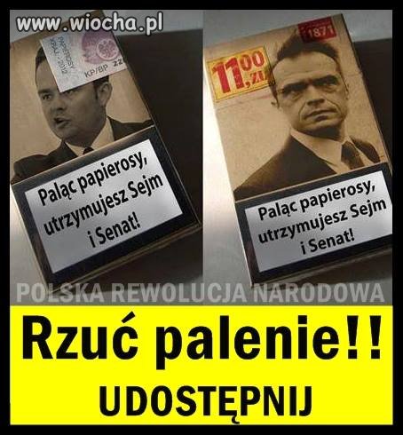 Palisz ?