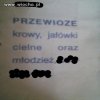 Ogłoszenie w gazetce...