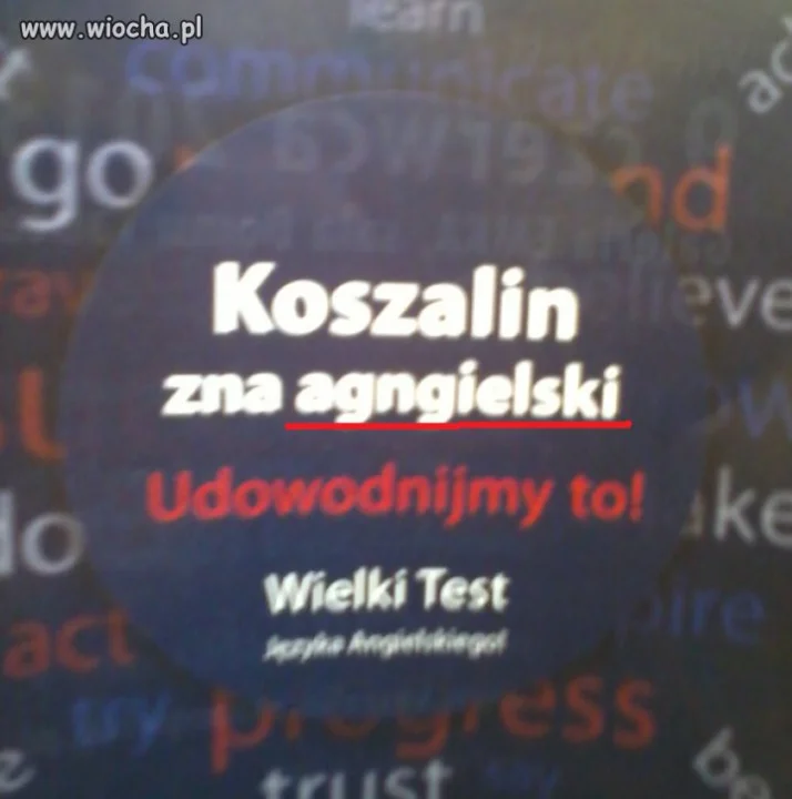 Koszalin zna angielski.