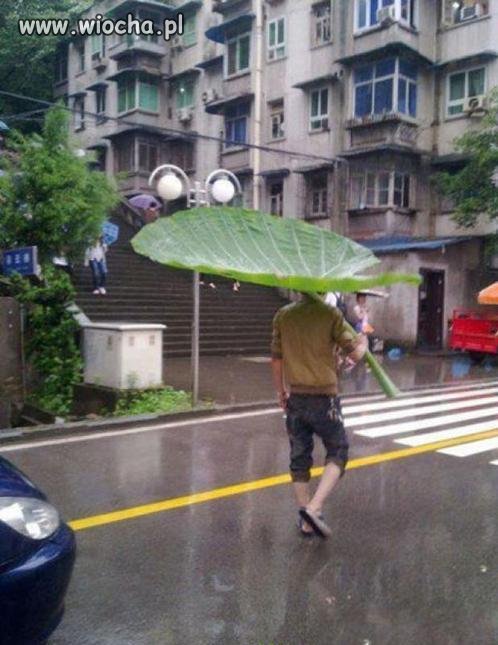 Parasol