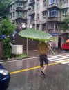 Parasol